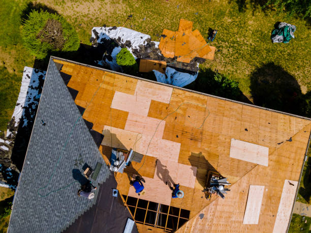 Best Metal Roofing Contractor  in Albion, NE