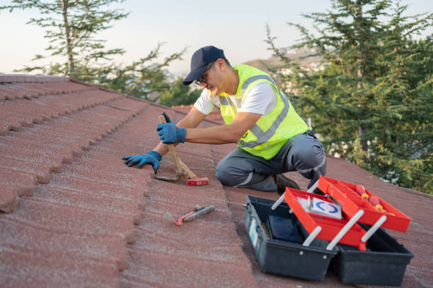 Best Flat Roof Repair Services  in Albion, NE