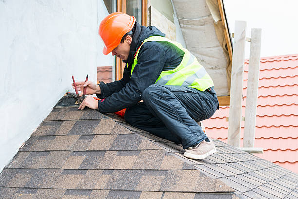 Best Roof Leak Repair  in Albion, NE